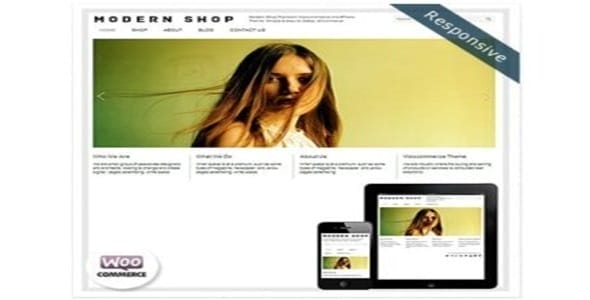 Dessign Modern Shop WooCommerce Themes