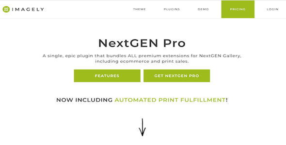 Imagely NextGEN Gallery Pro