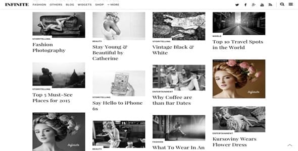 Themify Infinite WordPress Theme License Key