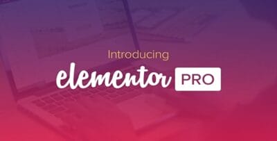 Elementor Pro Wordpress Plugin