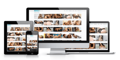 KingTube WP-Script Theme License Key